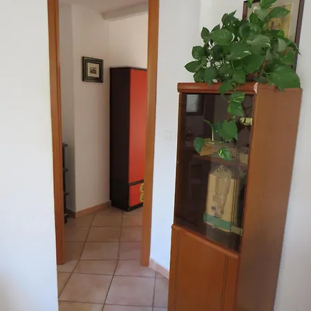 Lejlighed Awesome Terrace And In The Centre *