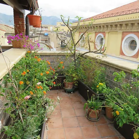 Awesome Terrace And In The Centre Apartment *
