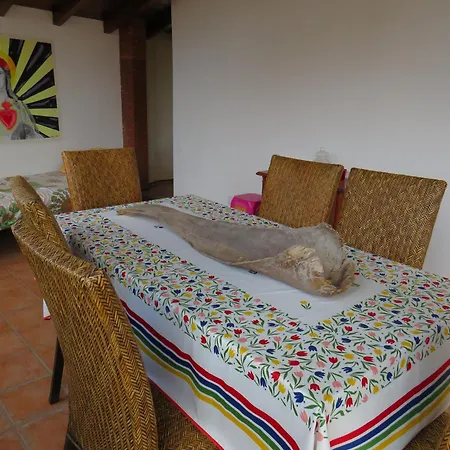 Awesome Terrace And In The Centre *