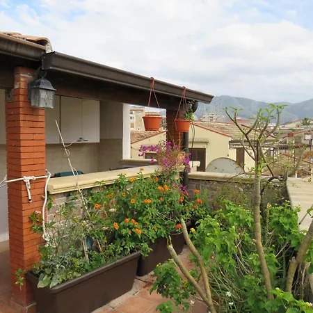 Awesome Terrace And In The Centre